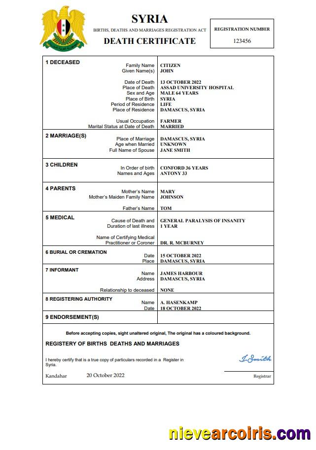 Syria vital record death certificate
